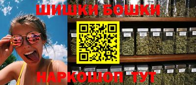 крисы Кулебаки