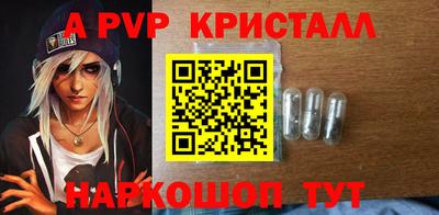 крисы Кулебаки