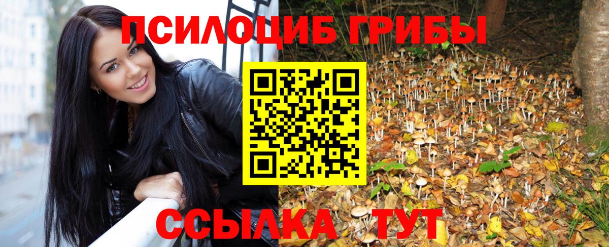 Галлюциногенные грибы Magic Shrooms Дедовск
