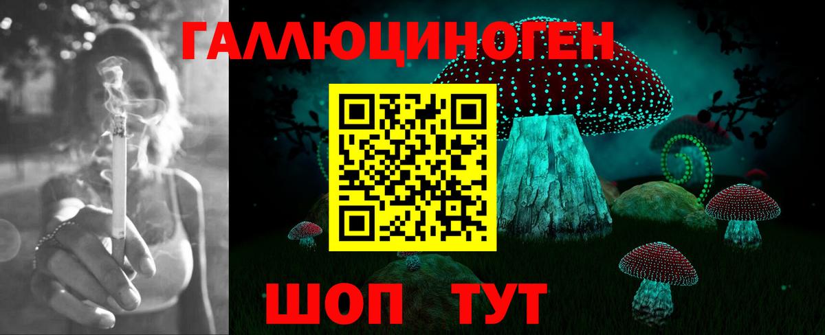 Галлюциногенные грибы Psilocybine cubensis  наркошоп  Дедовск  Вход с VPN 